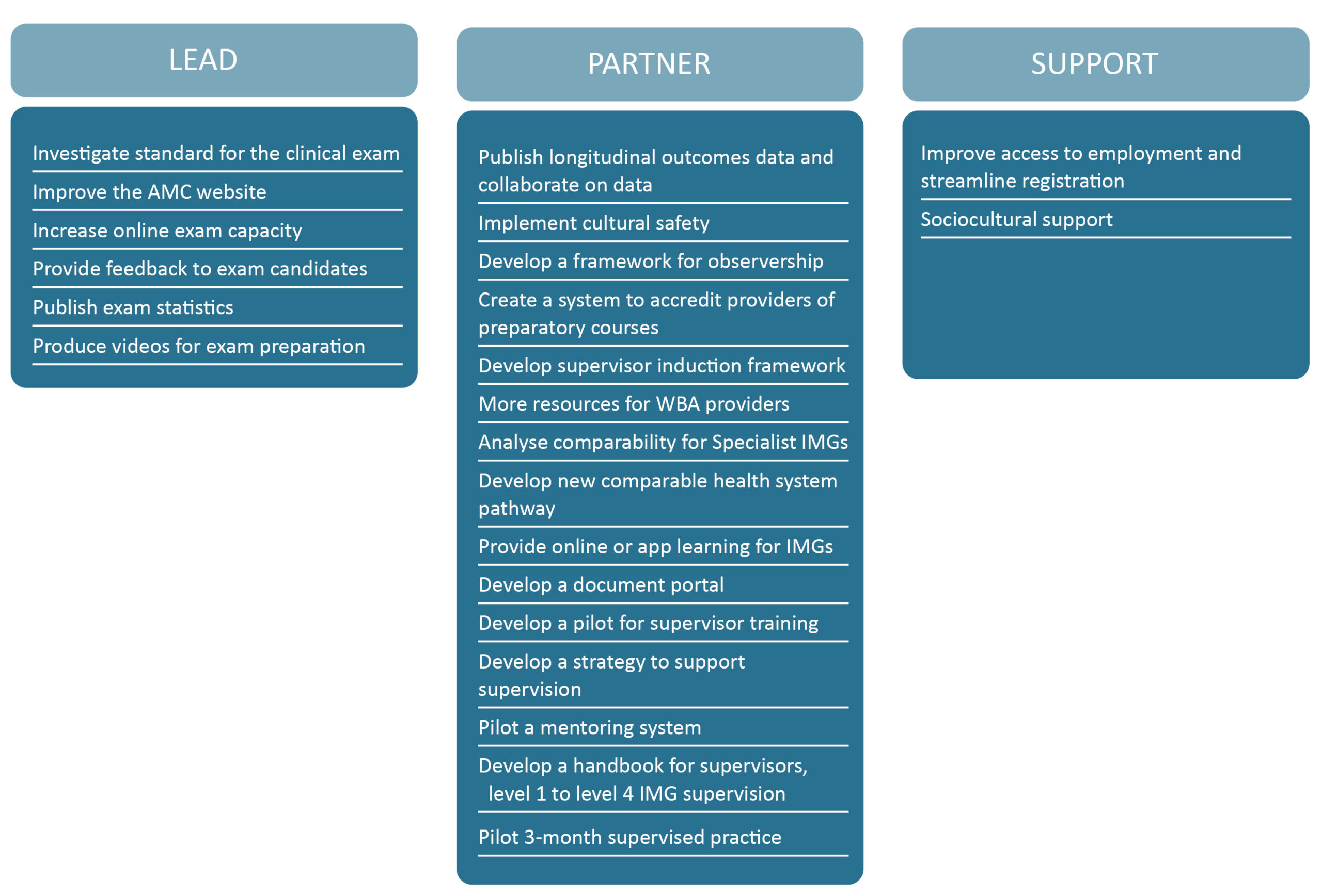 A table listing the initiatives that the AMC will lead, will partner with other organisations and will support.