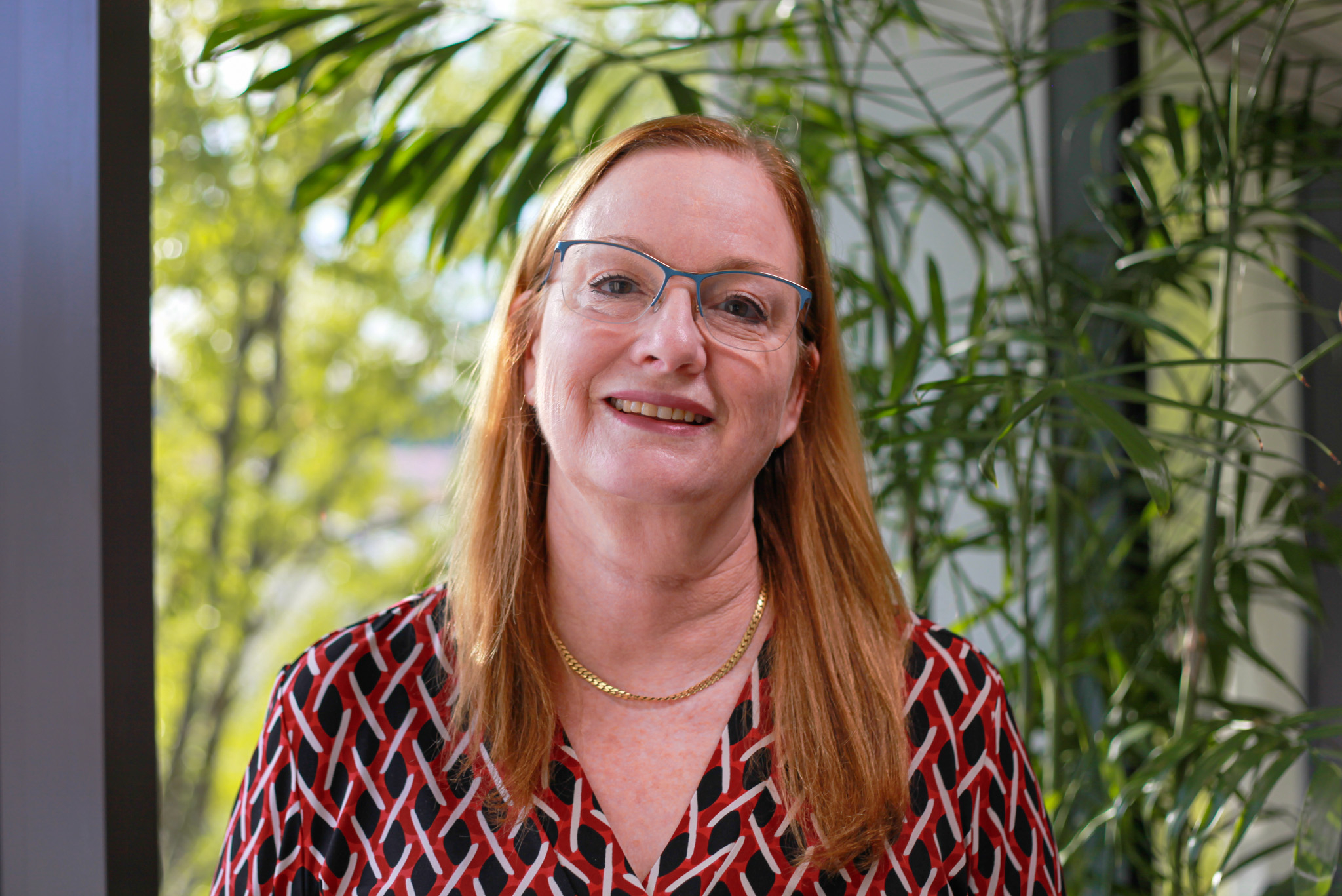 Directors and Council